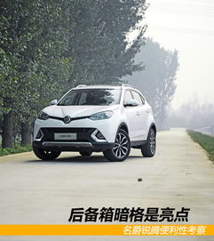 隆安汽车之家报价多少